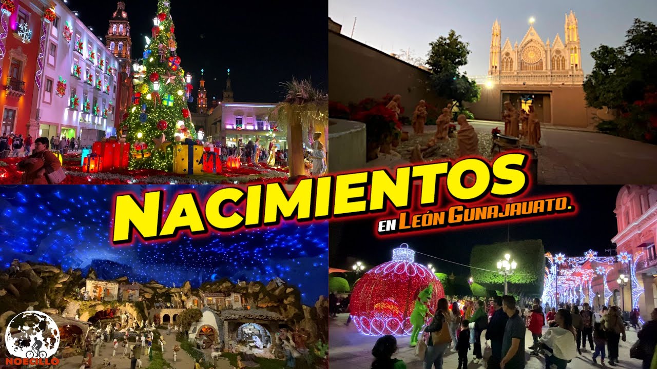 Nacimientos Con Muchos Monitos Y También Mucha  Iluminación Navideña de León Guanajuato Noecillo
