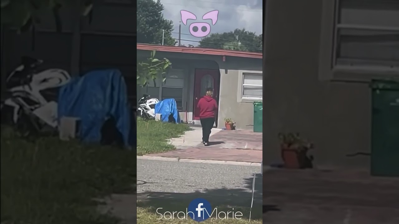Shadow people Caught On Camera |Compilation