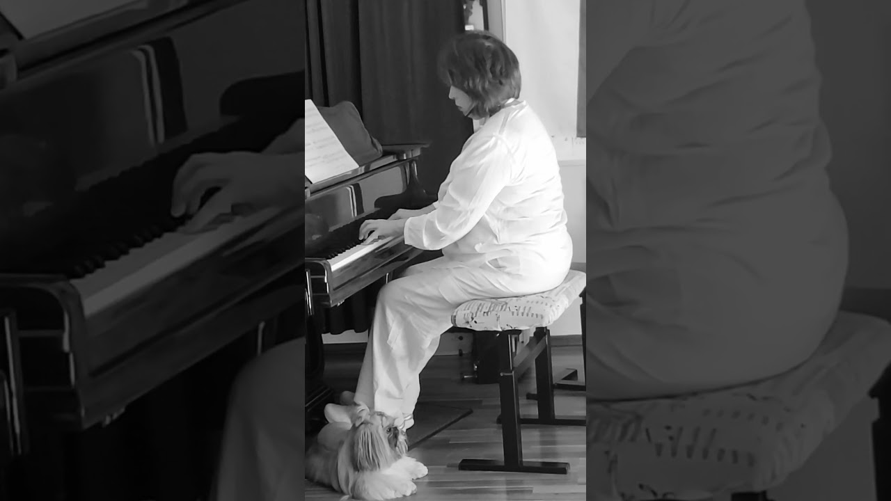 Мy new  composed 