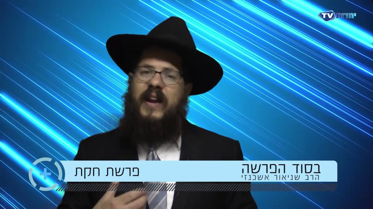 הרב שניאור אשכנזי פרשת השבוע פרשת חקת תשע