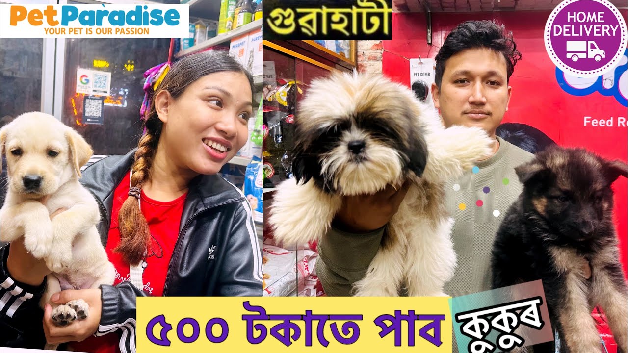 Dog market in Guwahati/৩৫০০ টকাৰ পৰা পাব breed /pet market Guwahati