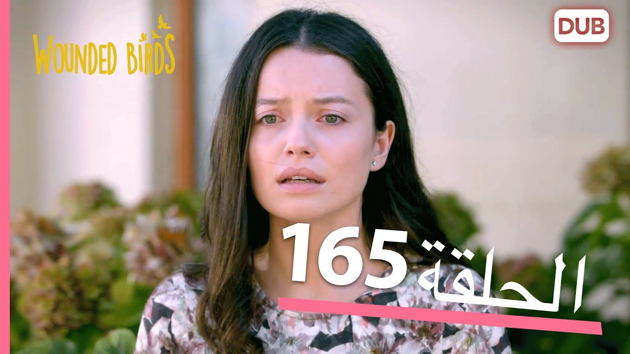 الطيور الجريحة | الحلقة الكاملة 165 |  مدبلج عربي