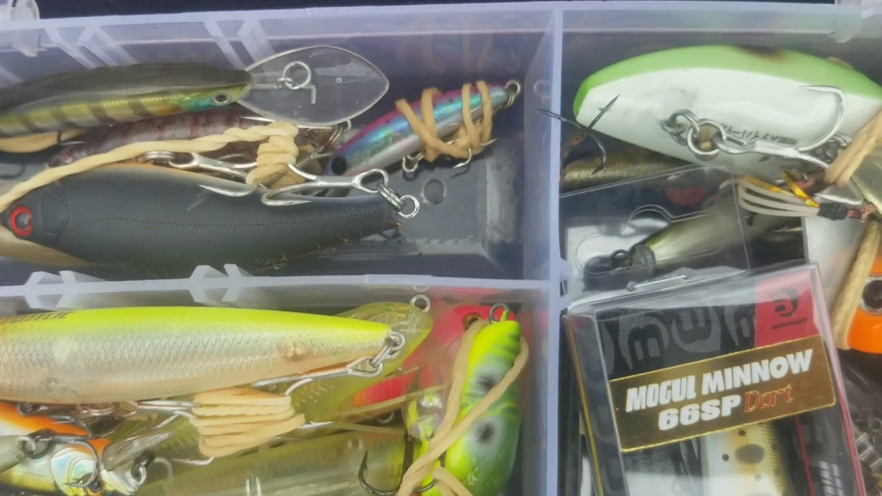 Devils Bend Estuary Perch and Redfin