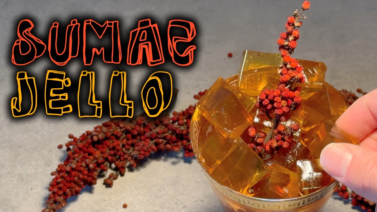 Foraging Sumac to Make Tangy Jello: From Tree to Table