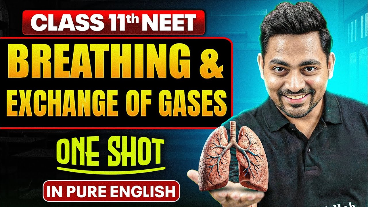 BREATHING AND EXCHANGE OF GASES Class 11th One Shot  | Complete NEET Zoology in Pure English