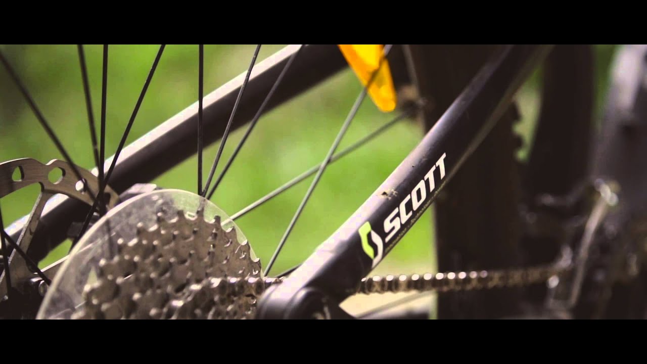 Rogla - Summer