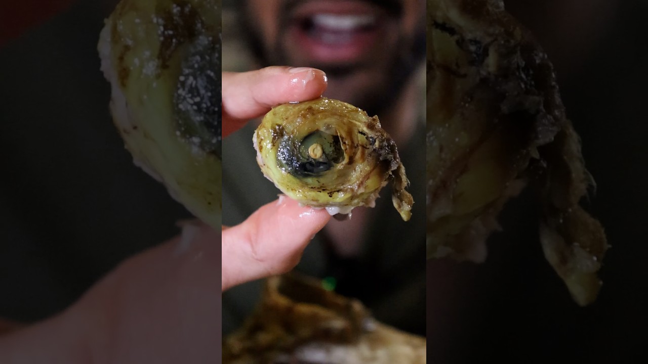 How to Eat Different ORGANS (Compilation)