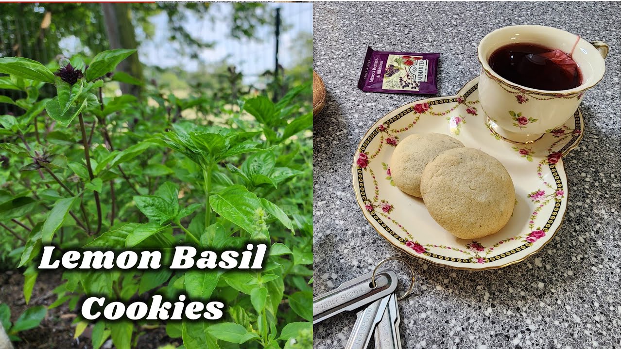 Tea Time!  Lemon Basil Cookies (Last Video!)
