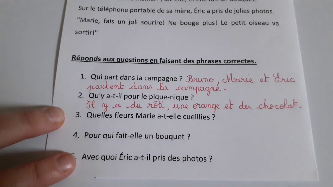 CE1 Lecture d'un texte : Pique-nique à la campagne