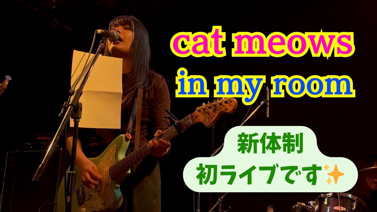 cat meows (新体制) -「in my room」(2026.1.25 Total Feedback at 高円寺HIGH, Tokyo, JAPAN) ー オルタナサウンドが終始心地よい👍✨