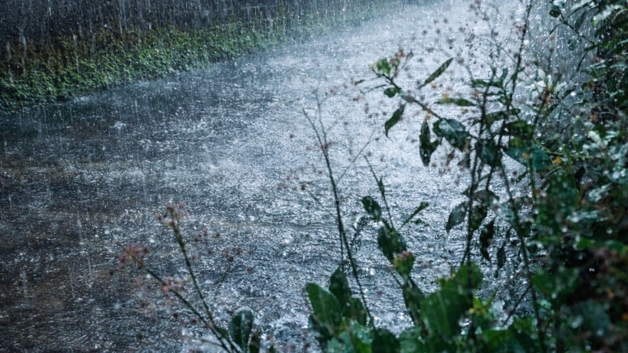 Ultra REAL RAIN SOUNDS 🌧️ Sleep Faster Than Ever (5-Minute Effect)