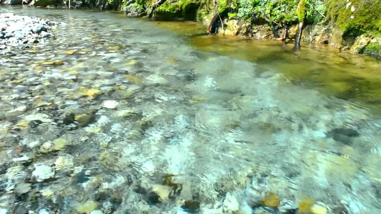 【自然音】せせらぎ - 4 / 1 Hour Nature Sounds - Babbling Brook Sounds