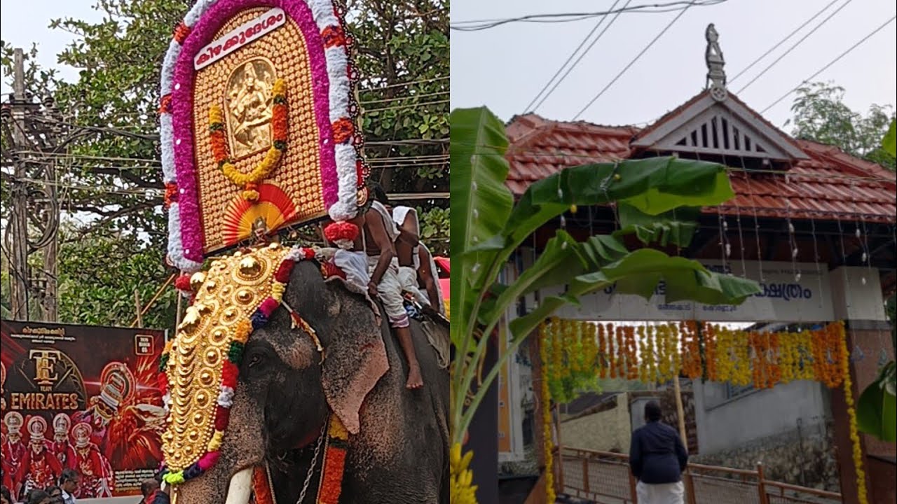 ഷൊർണ്ണൂർ പൂരം ✨പൊളിച്ചടുക്കി ഞങ്ങൾ 🥰#pooram #pooramvibes #pooram2026 