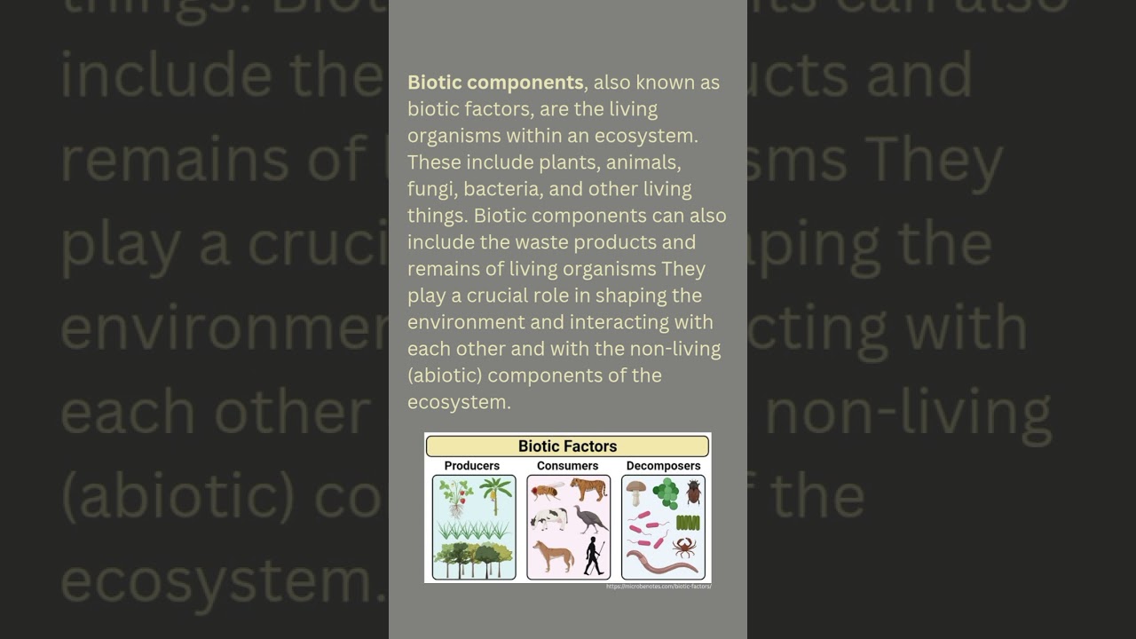 Biotic components |Environmental components |#biotic components# environment #education #facts
