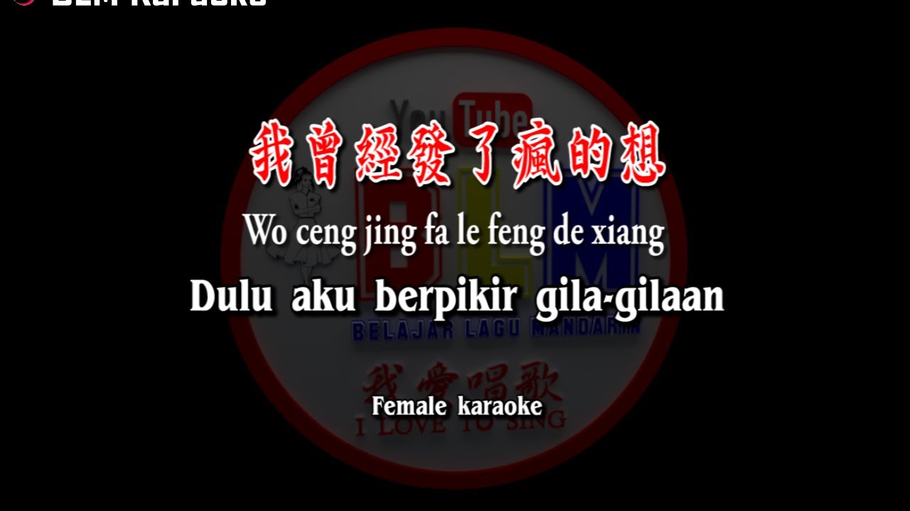 我曾經發了瘋的想 - Wo ceng jing fa le feng de xiang - Female Karaoke - Terjemahan - Pinyin - Lyrics - Lirik
