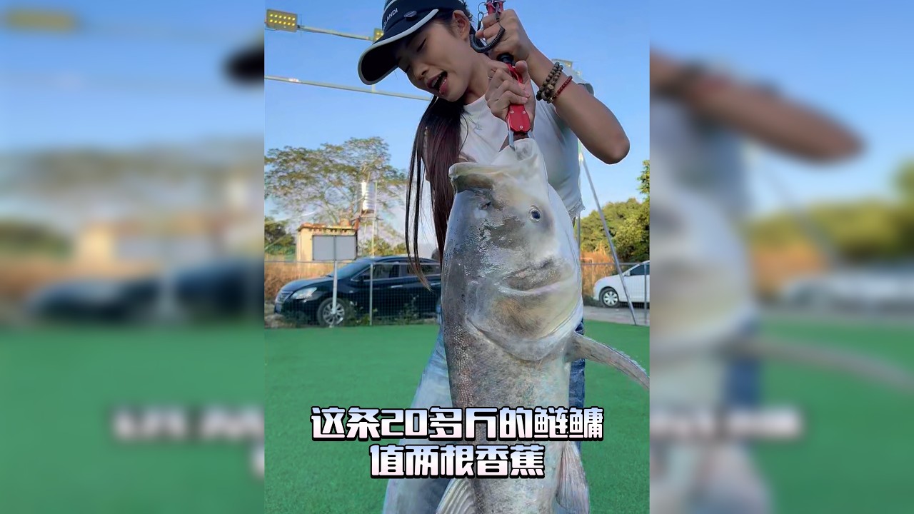 路过捡个香蕉被老板误会还罚我款~