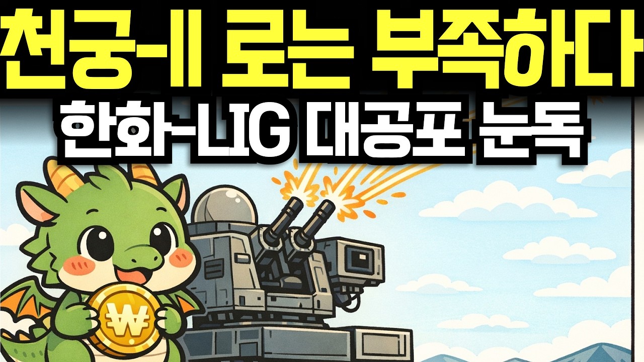 미사일 부족한 중동… 한화·LIG 대공포 뜨는 이유 | 경제학 | 시니어경제 | 중동 | 호르무즈해협