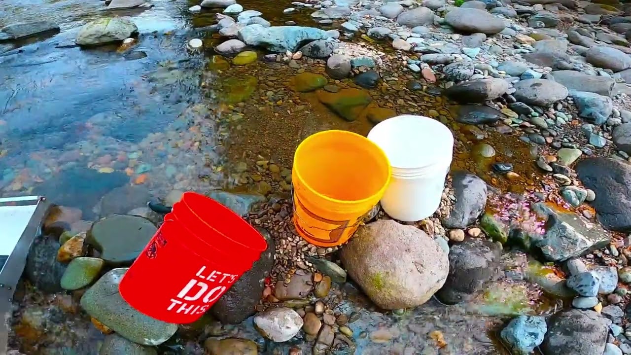 Back out to Quartzville creek and shocked by what I found.