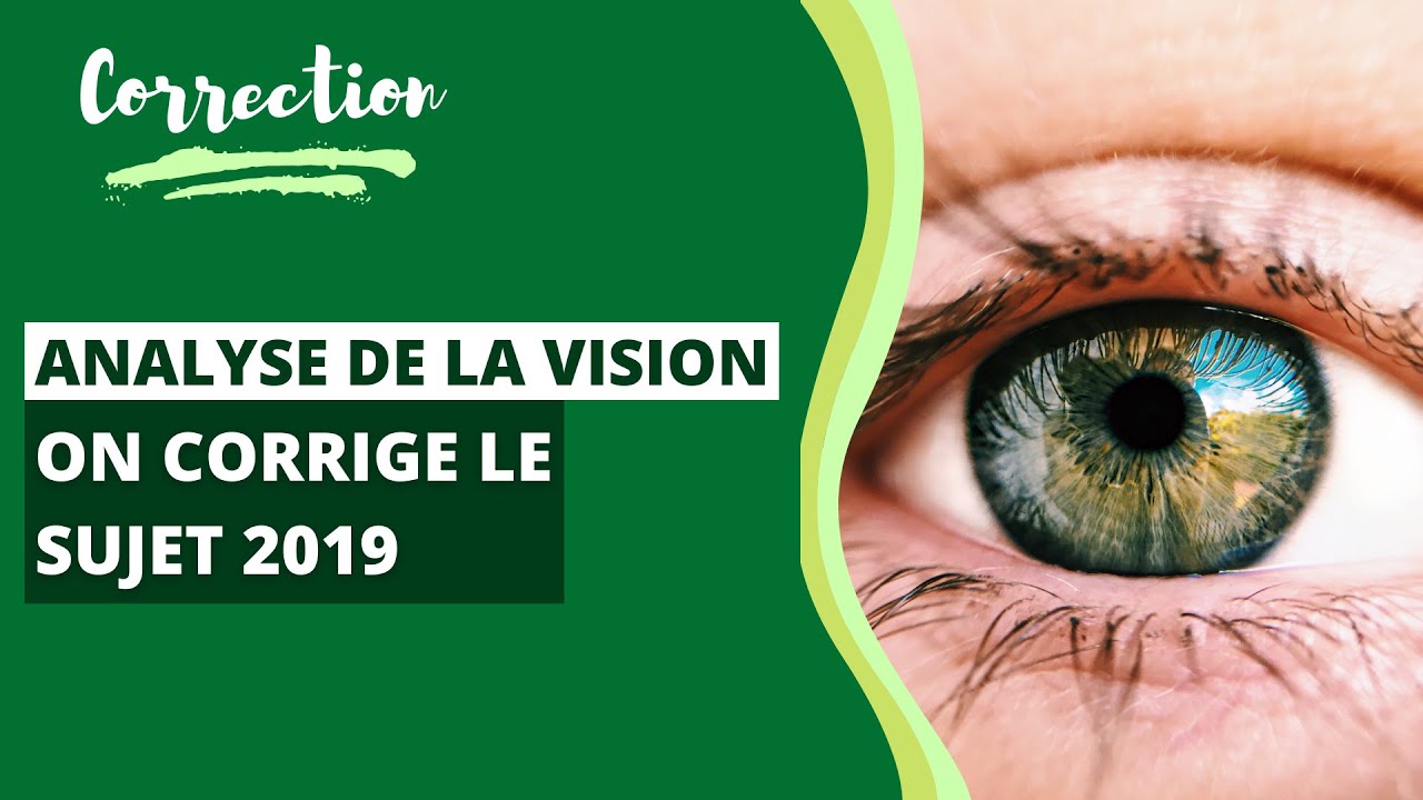 Correction du sujet dAnalyse de la Vision 2019