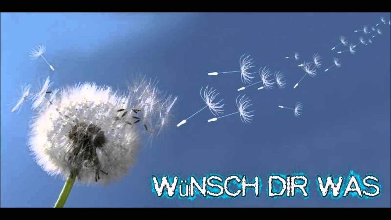 Die Toten Hosen~W&uuml;nsch dir was