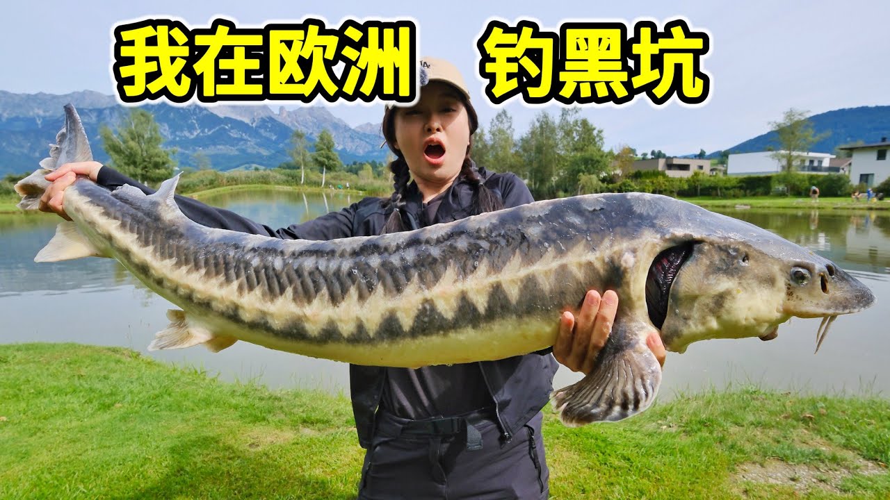 在欧洲钓黑坑，盘米级鲟鱼，外国黑坑这么刺激！| 奥地利 | 钓鱼 | 农村 | 蘑菇 | 户外 |
