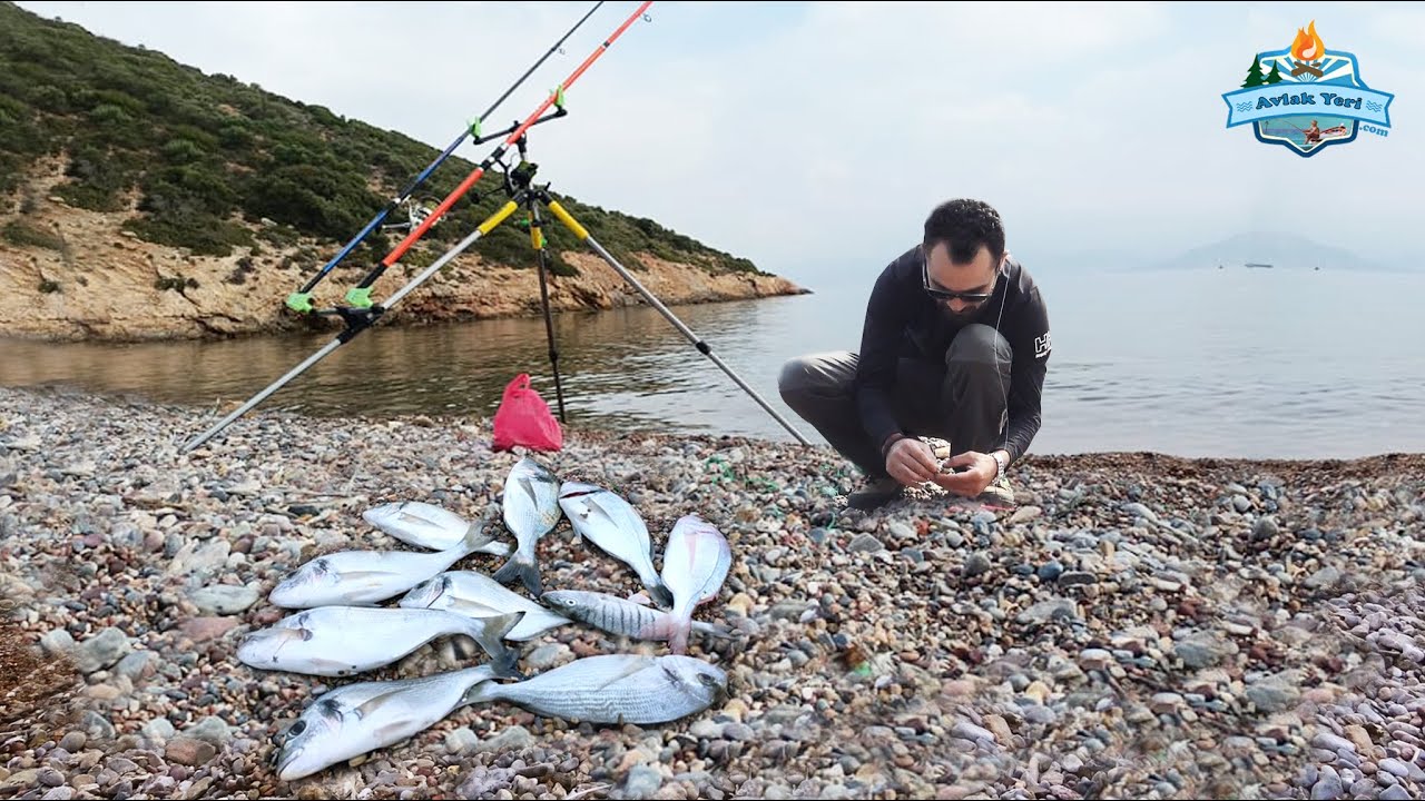 KARAREİS ÇUPRA ADASI!! STRES YOK, HUZUR VAR!! Çeşme'de Balık Başladı!