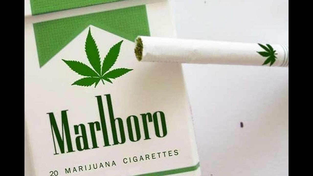 Marlboro va por el negocio de la marihuana