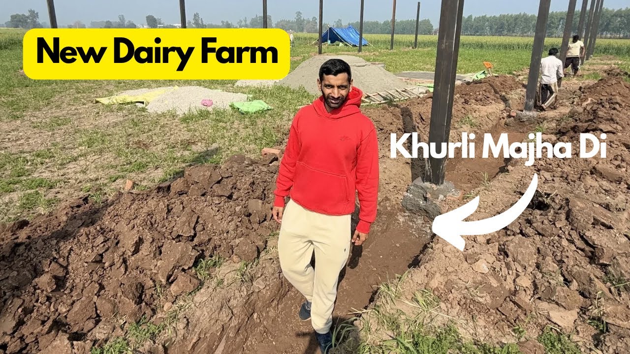 New Dairy Farm Dia Walls Da Kam Start Hgya.