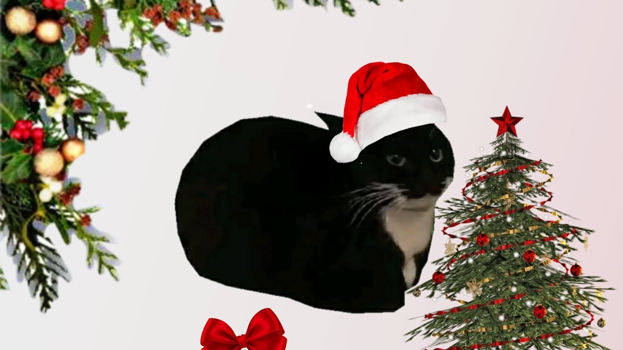 Eu adotei um gatinho 
