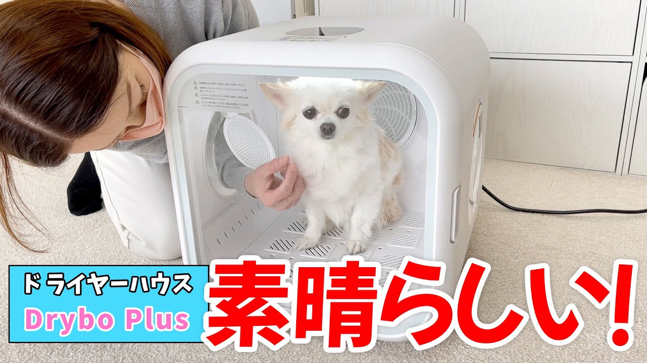 ドライヤーハウスはDryboPlus一択な理由を説明します。