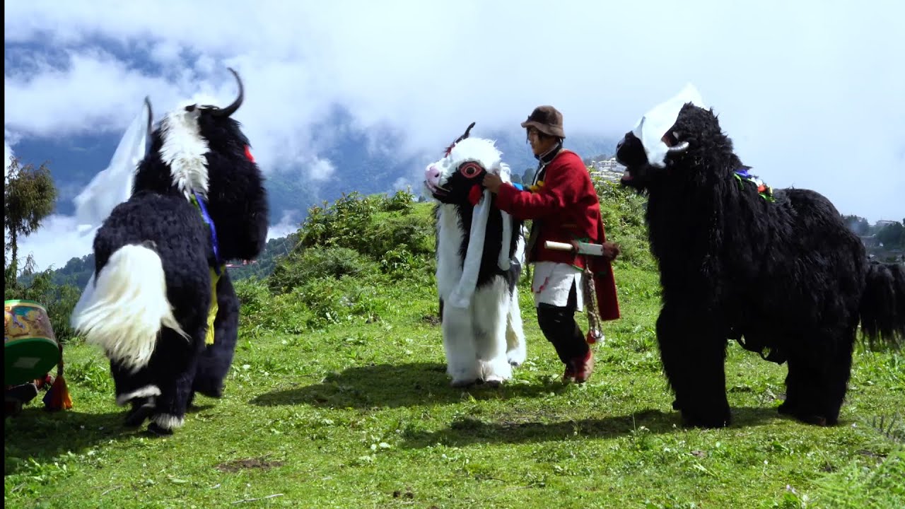 Yak Cham # Yak Dance by Snow Lion Cultural Society Tawang.