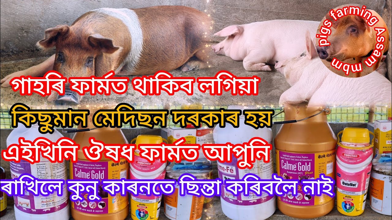 গাহৰি ফাৰ্মত থাকিব লগিয়া কিছুমান মেদিছন দৰকাৰ হয় এইখিনি ঔষধ ফাৰ্মত  ৰাখিলে কুনু কাৰনতে ছিন্তা নাই 