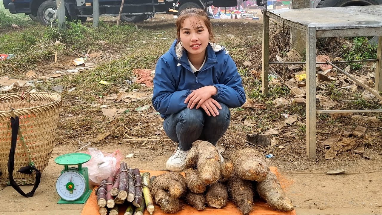 FULL VIDEO: harvesting wild tubers, green vegetables to bring to the market to sell | Chuc Thị Duong