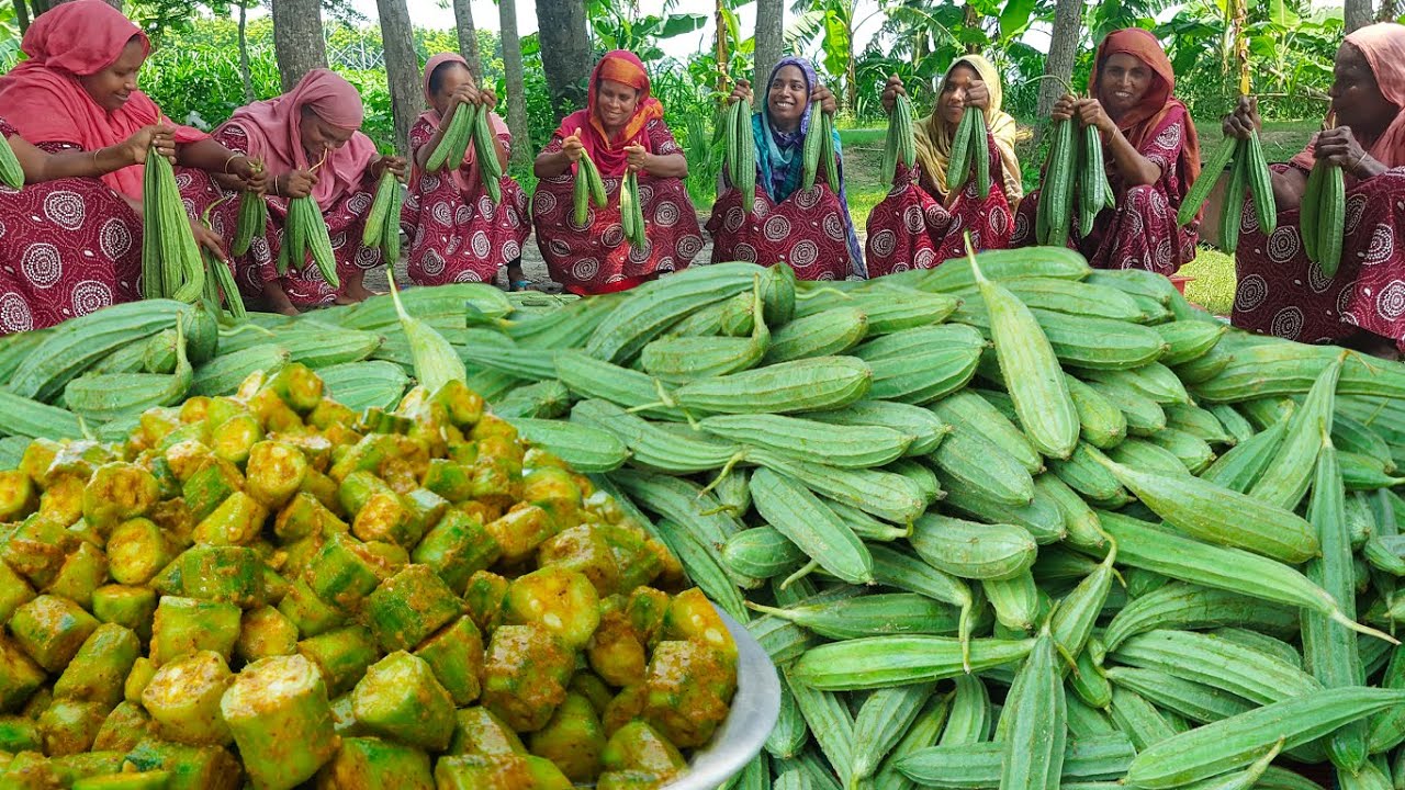 Vegetable Curry - Different Style Ridge Gourd Recipe - Sambar Type Jhinga Cooking in Village