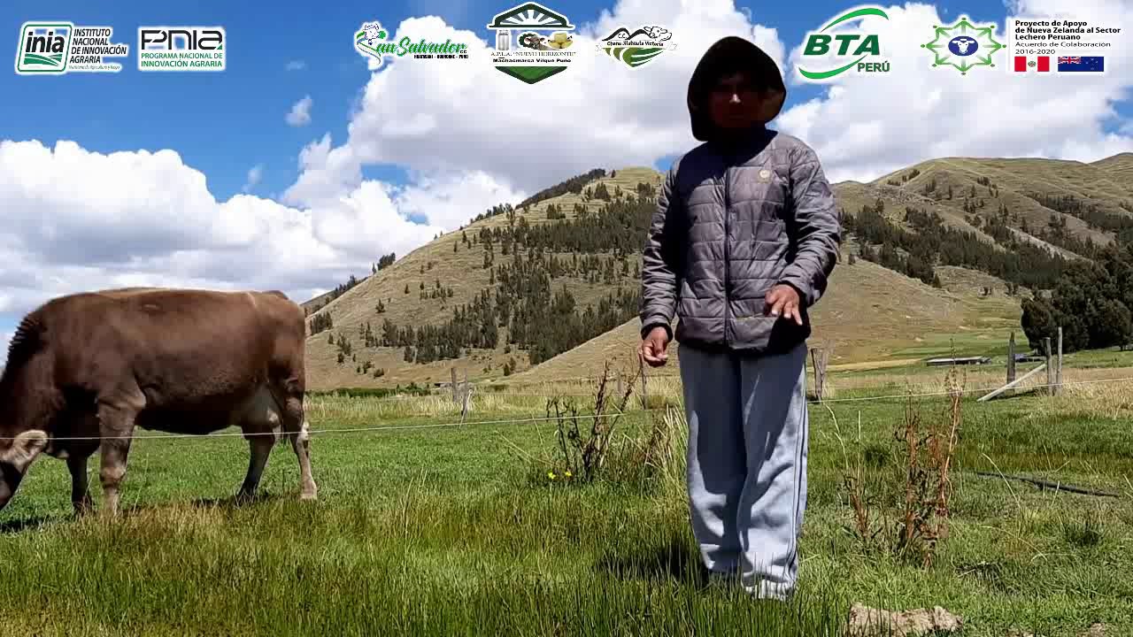 Proyecto PNIA: VALIDACIÓN DEL DESEMPEÑO DE NUEVAS ESPECIES FORRAJERAS DE NUEVA ZELANDIA -REGIÓN PUNO