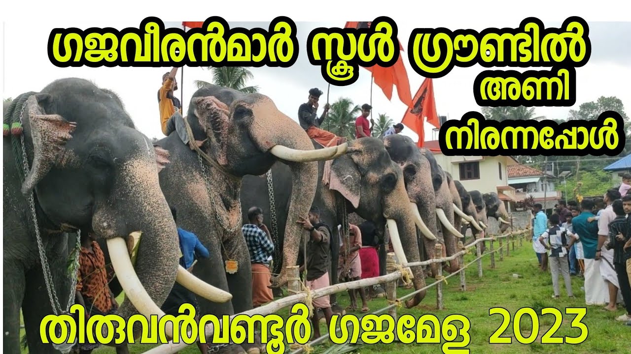 Thiruvanvandoor Gajamela 2023 Elephants in Thiruvanvandoor School Ground