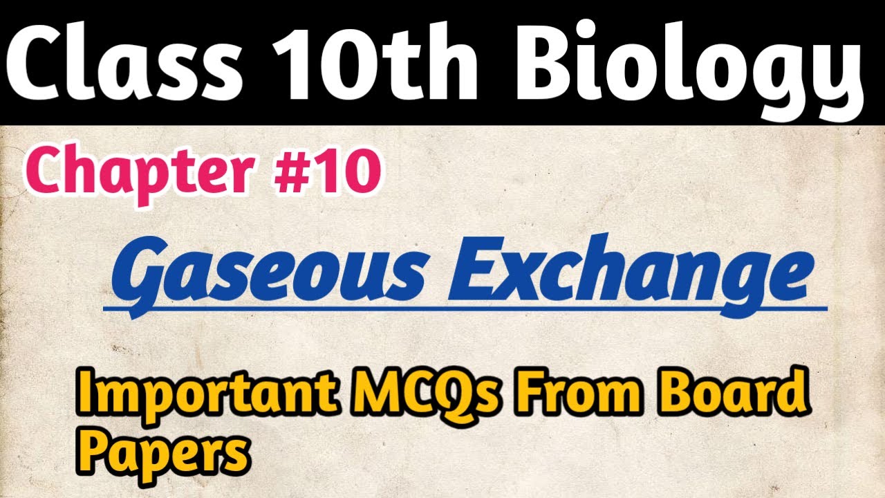 Important MCQs Class 10th Biology|| MCQs From All Board Papers||Chapter # 10 Gaseous Exchange MCQs