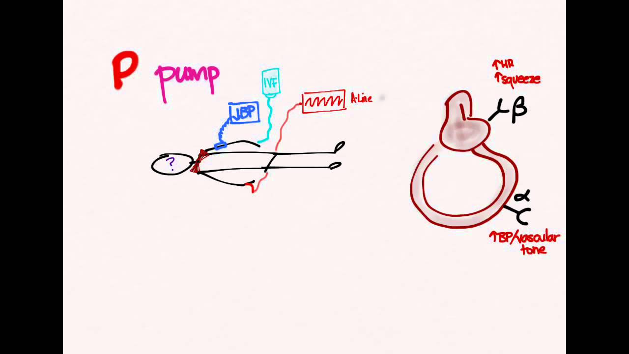 Circulatory Shock 02 Treatment
