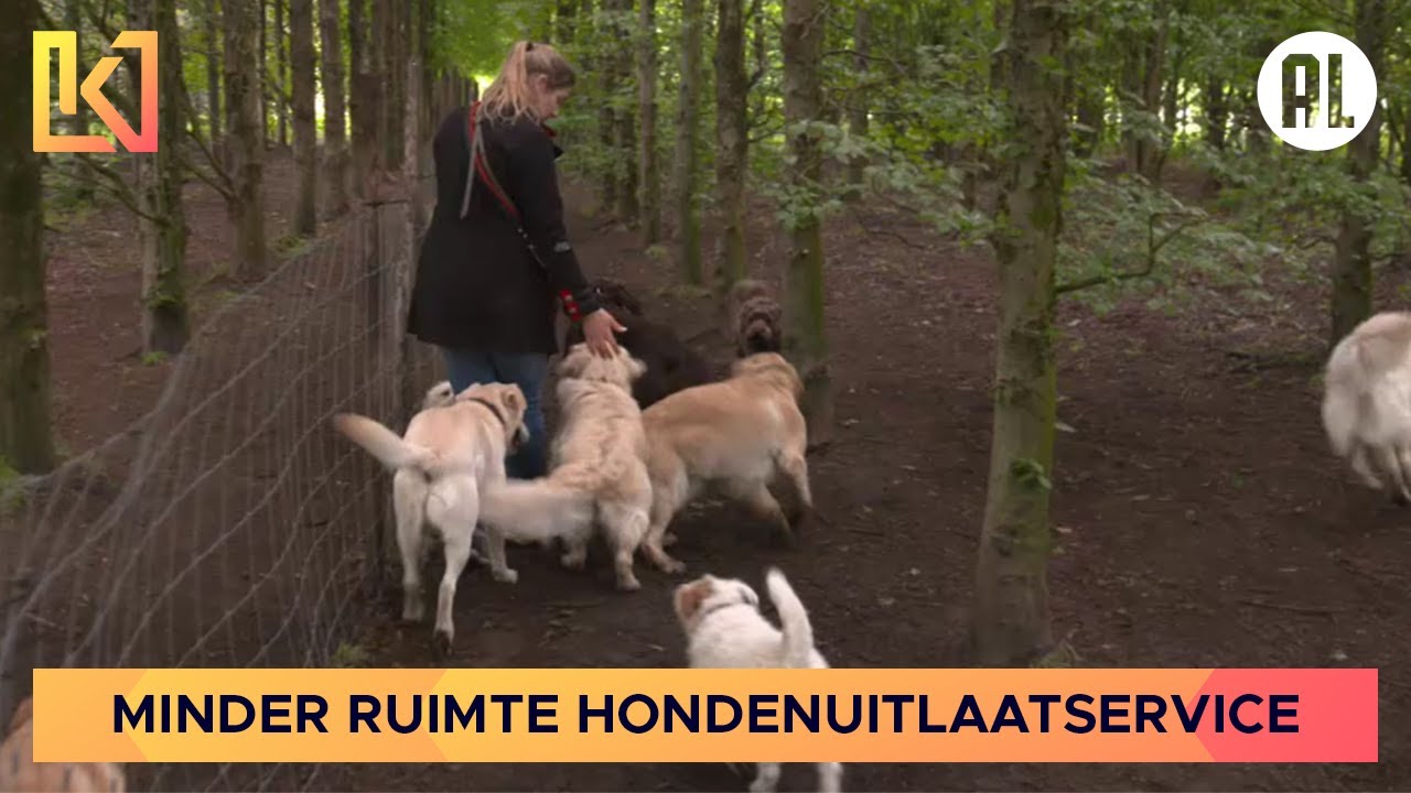Wie laat de hond uit? Steeds minder ruimte voor hondenuitlaatservice