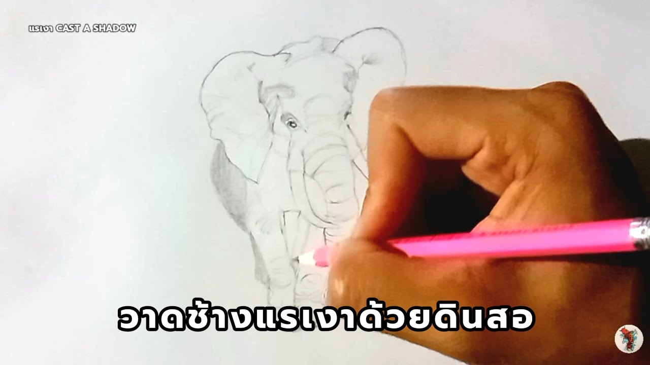  วาดช้างแรเงาด้วยดินสอ   Draw an elephant with shaded lines using a pencil. 