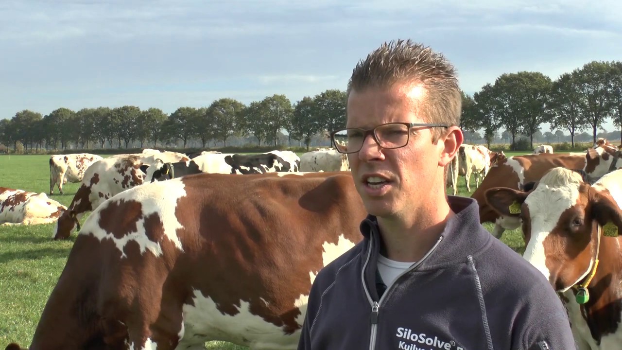 Carbon Valley - Organische stofmanagement op melkveebedrijven