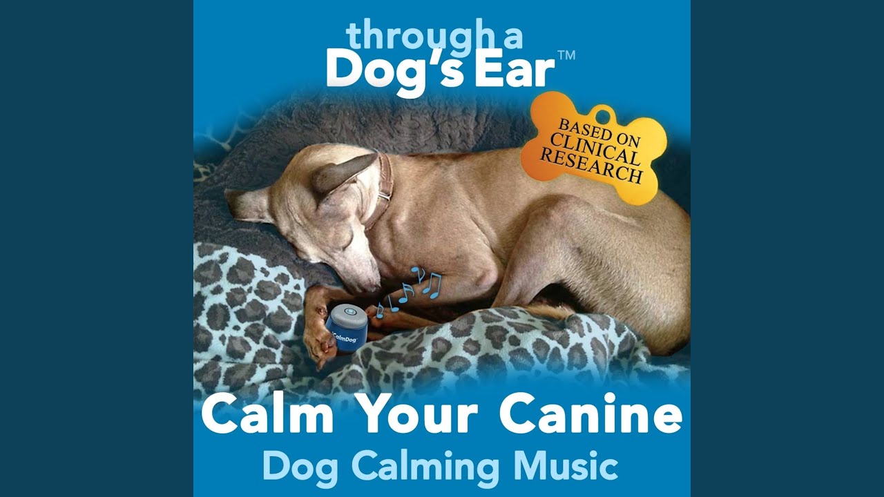 12 Pieces, Op. 40: No. 2, Chanson Triste in G Minor