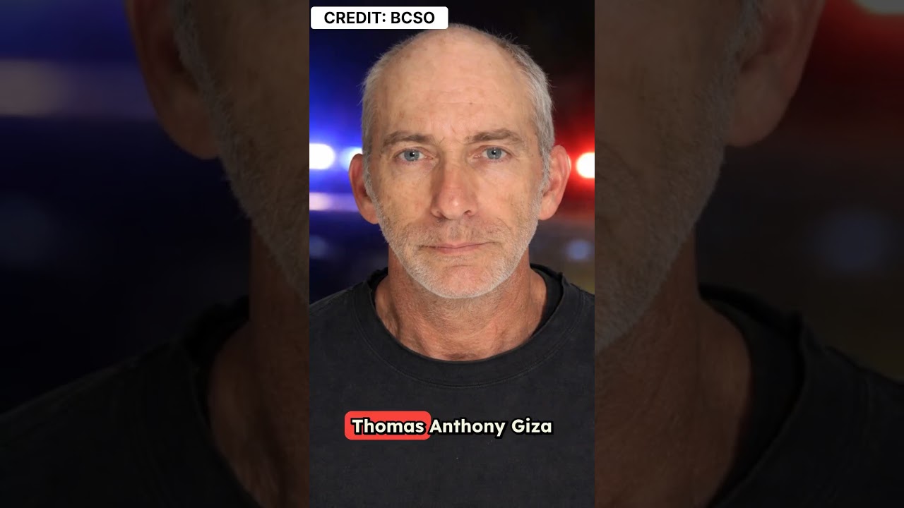 Traffic Stop in Pineville Leads to Drug Trafficking Arrest, Gun Seizure