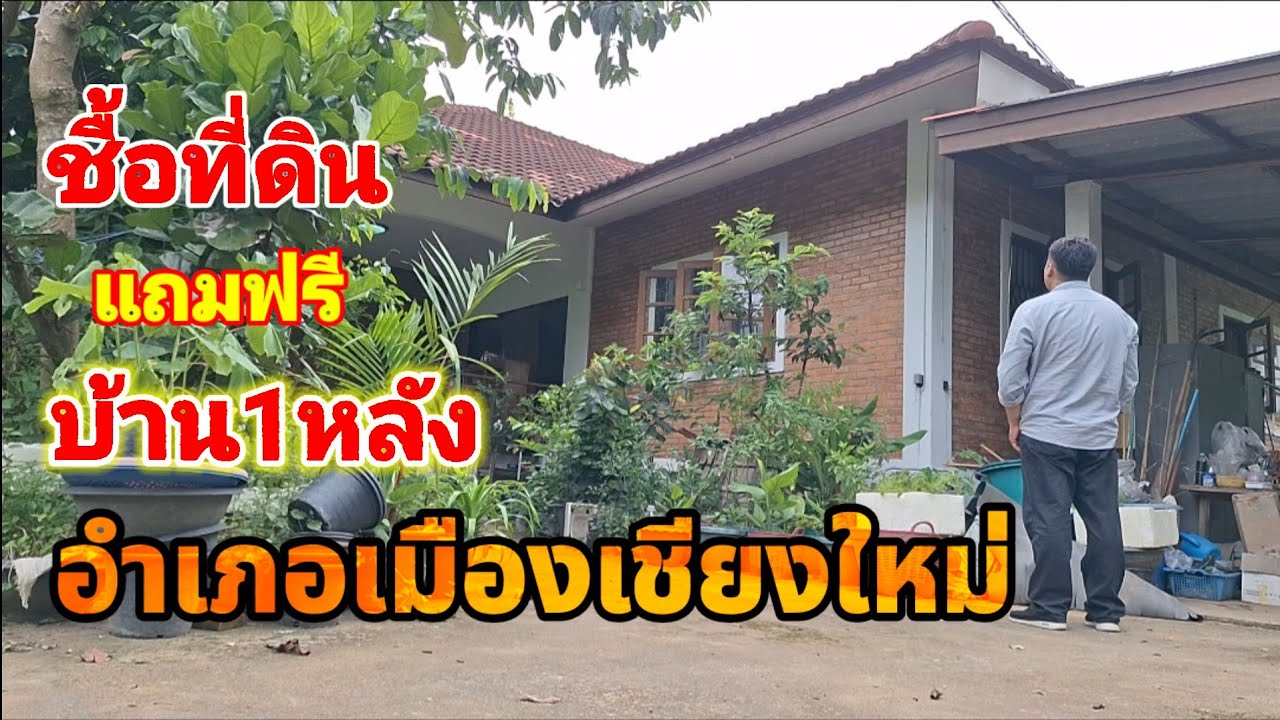 ที่ดินเชียงใหม่ แถมฟรีบ้าน 1 หลัง เขตอำเภอเมืองจังหวัดเชียงใหม่