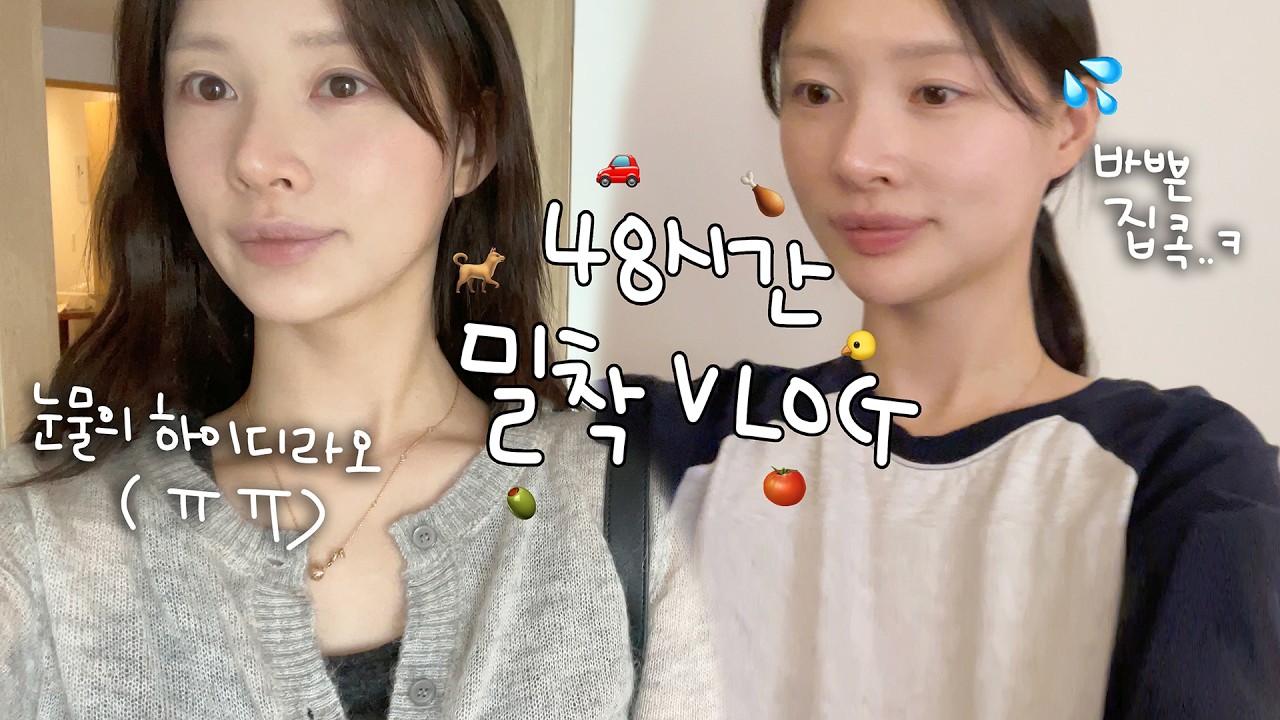 [vlog]48시간 밀착 브이로그(눈물의 하이디라오💧🍅/젤리얼먹/갈쿡 대잔치/무뼈닭발/알배추햄구이/에그누들볶음면/갈 토스트🥖/깨알 육아/교촌 반반콤보 라면..ㅋ/시바견 택이)