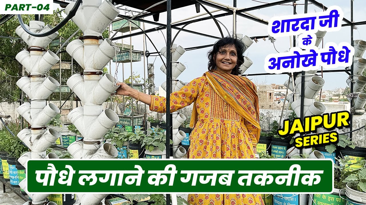शारदा जी के पौधे लगाने की तकनीक मन मोह लेगी 🌴 🌴 😍 😍 पौधों को सुनाती है म्यूजिक 🎵 🎵