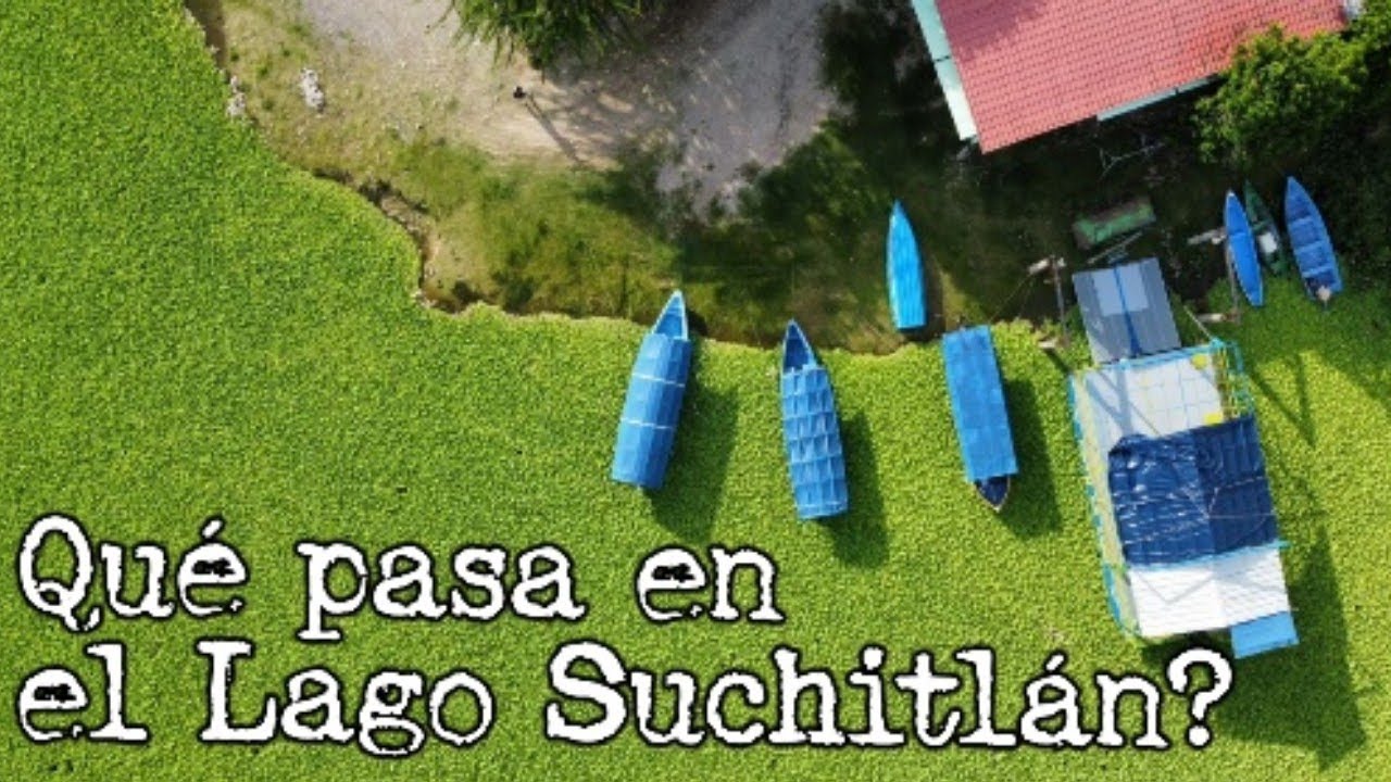 Por qu&eacute; el Lago Suchitl&aacute;n se torno color Verde?