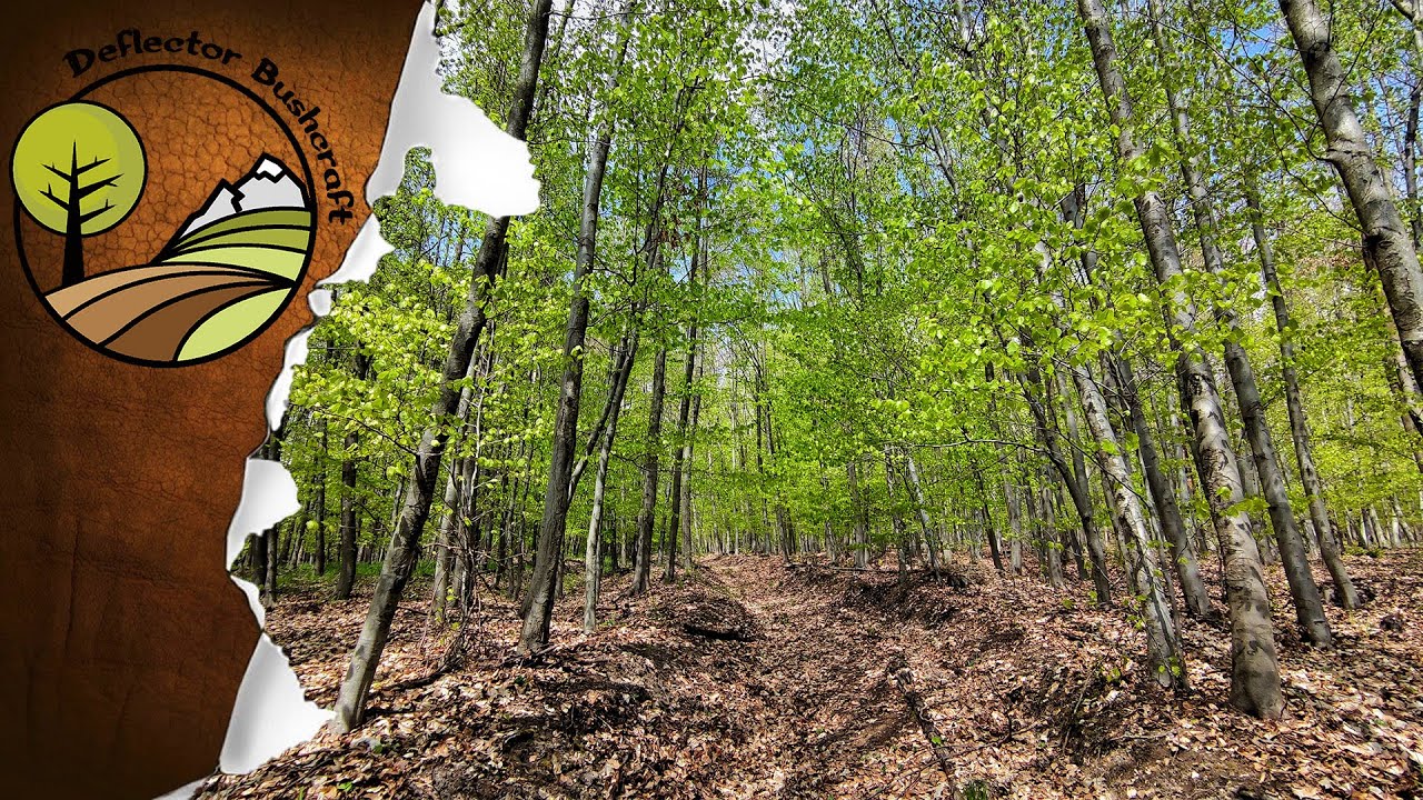 O přírodě: Luxujeme CO2 💨🌳