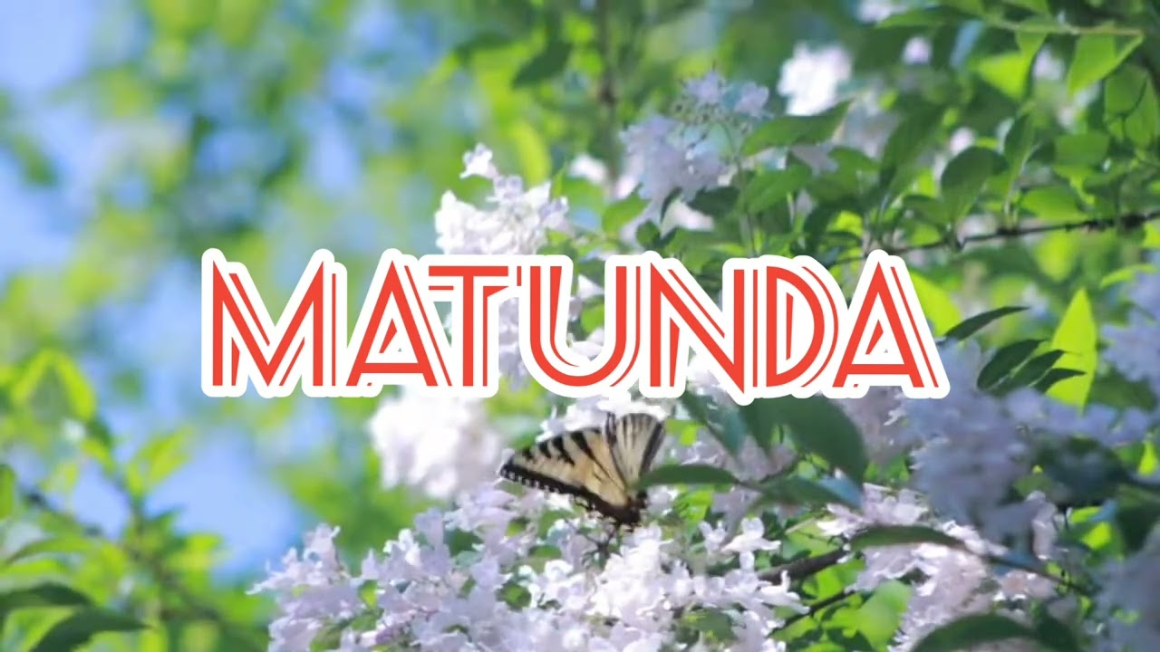 Matunda_-_DX Uncle
