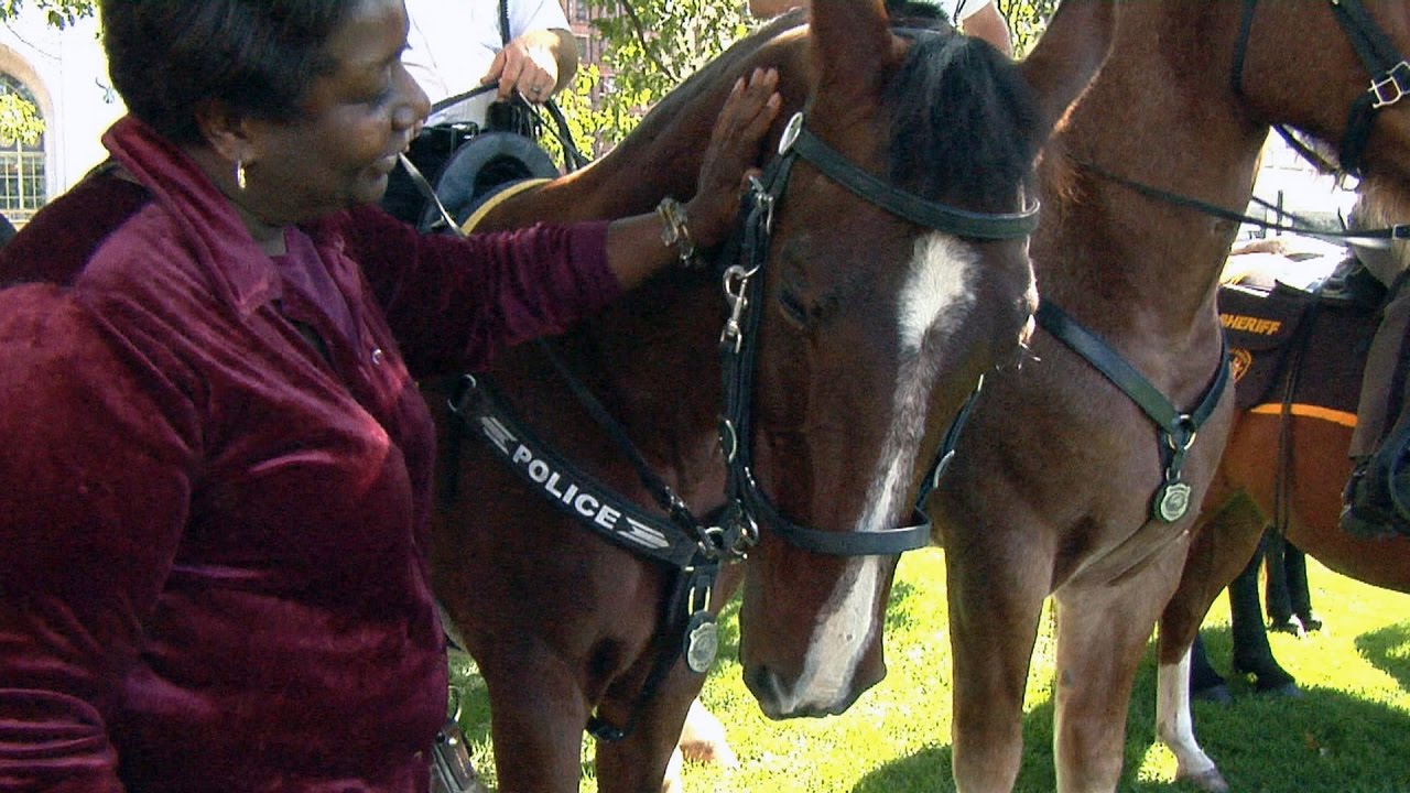 Quarter Horse Congress Comes to Columbus 10/12/2016
